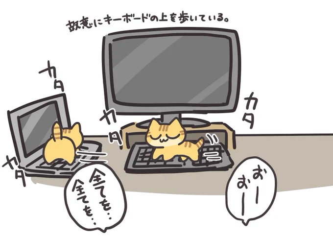 明らかにわざと全てのボタンを踏んでいく猫 