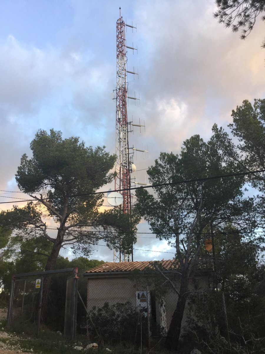 esDigital971 tweet media