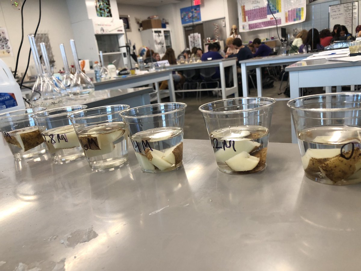 ms lentz is proud of you tweet media