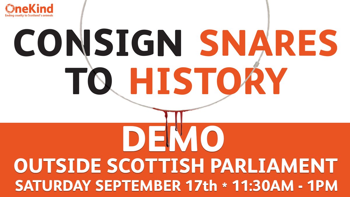 MoorlandMonitor's tweet photo. 🦊The Scottish Government is currently reviewing #Scotland’s snaring legislation. 
➰@onekindtweet want to send a strong message to them that the public wants a full snaring ban. 
📍Join their demo on Sat 17 Sept, 11.30am, Edinburgh.
https://t.co/EKXdjhlBFB https://t.co/II2c8B3WJv