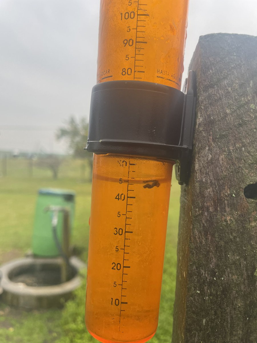 mirubi2's tweet photo. 45mm Paraje Víboras y Vacas, 35mm El chileno, Colonia https://t.co/gfMjBhpUcO
