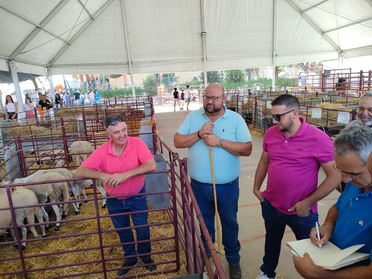 expohuelma's tweet photo. Subasta de sementales de Raza Montesina en el Recinto Ganadero de ExpoHuelma 🐑
 
#ExpoHuelma #EH22 #ExpoHuelma2022 #AyuntamientodeHuelma #Huelma #SierraMagina #muchoquever #maginaenhuelma #vivemagina https://t.co/9MCwTBtf4O