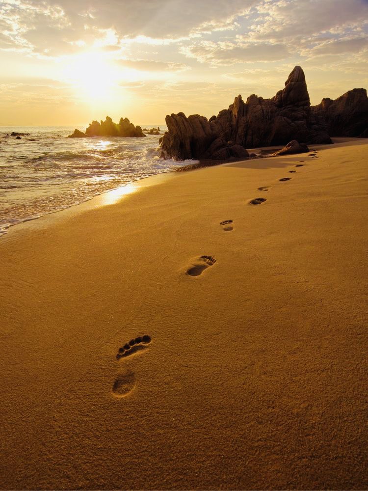 1228erin's tweet photo. Leave footprints of #love and #kindness wherever you go💛

#ThinkBIGSundayWithMarsha #JoyTrain #SaturdayMorning #GoldenHearts #FamilyTrain  #JOY #MondayMotivation #GoalAchieversCommunity #BabyGo #RainKindness #LifeDifferenceMakers https://t.co/IHWdL0LoxD