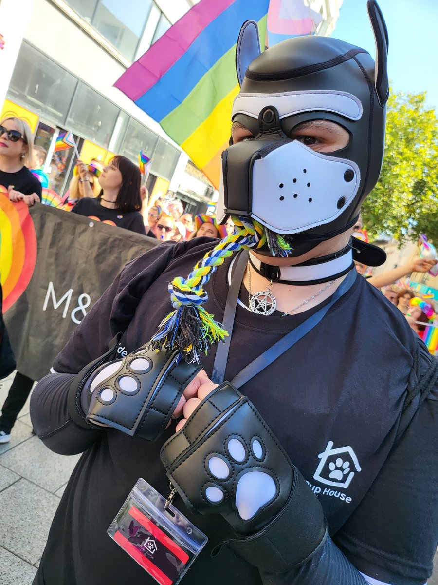 PupHouseUK's tweet photo. https://t.co/58H3qKoOML