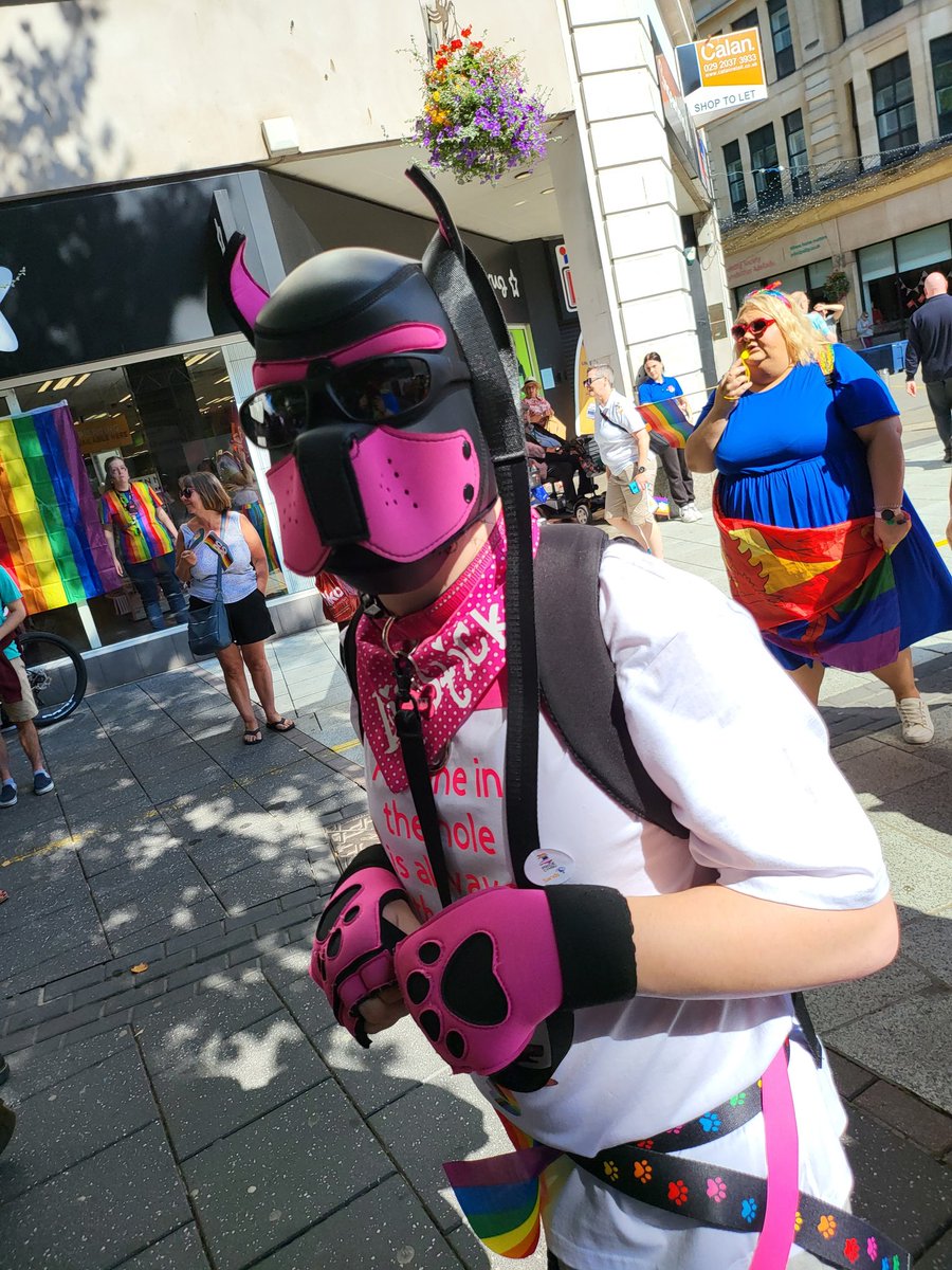 PupHouseUK's tweet photo. https://t.co/58H3qKoOML