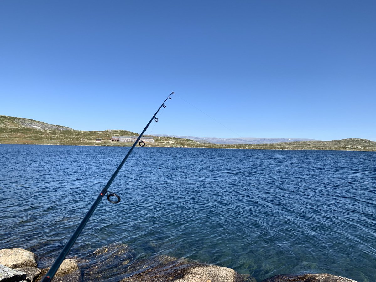 mrjorgen's tweet photo. Nå. #Krækkja #Hardangervidda #molter #fisketur https://t.co/HzE2qFLeDl