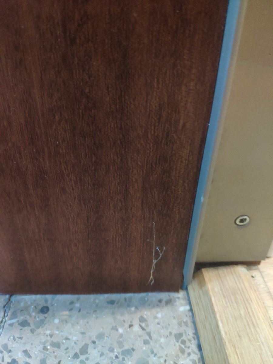 MarPoyato's tweet photo. Arribar de vacances i trobar-te el pis marcat pels PUTOS LLADRES. Un fil de silicona molt prim, semblant a una teranyina, per saber si obres o no la porta. Per sort, la cosa no ha anat a més, gràcies a una veïna. @mossos https://t.co/yJOc65ozgd