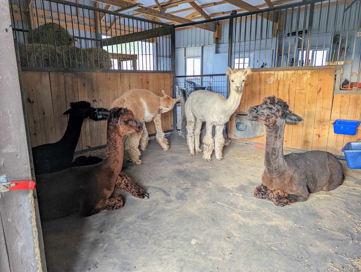 DocBohn's tweet image. Good morning