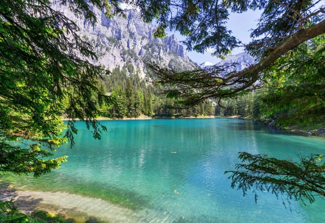 suemi981's tweet photo. Avusturya
1. Ilk gitmen gereken yer Hallstatt/Salzburg
2. Grüner See doğayla iç içesin 
3. Laxenburg/Lower Austria da bulunuyo mini tekne turlari yapabilirsiniz
ps:girişteki dondurmadan kesinlikle yemelisin!!!
4. Schönbrunn (istersen hayvanat bahcesinde grbelirsin
@BolukbasiNisa https://t.co/v9rApG51CL