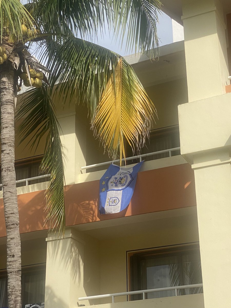 michellehtfc's tweet photo. Flying the flag from Mexico 🇲🇽 #utt 🔵⚪️ https://t.co/99CWjeNEef