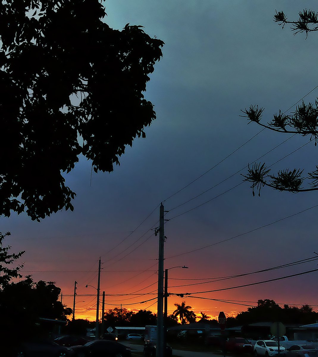 JorgeGNYCMIA's tweet photo. #Miami #Sky #Sunset #Clouds #Palmtrees #Trees #Pinetree #photo #photodaily #phototoday #photoofthedaye #photogram #photograph #photographer #photography #photooftheweek #photos #photosession #photostudio #skyphotography #sunrays #sunflares #lensflare #SunsetEvening https://t.co/MszeJcpTtk