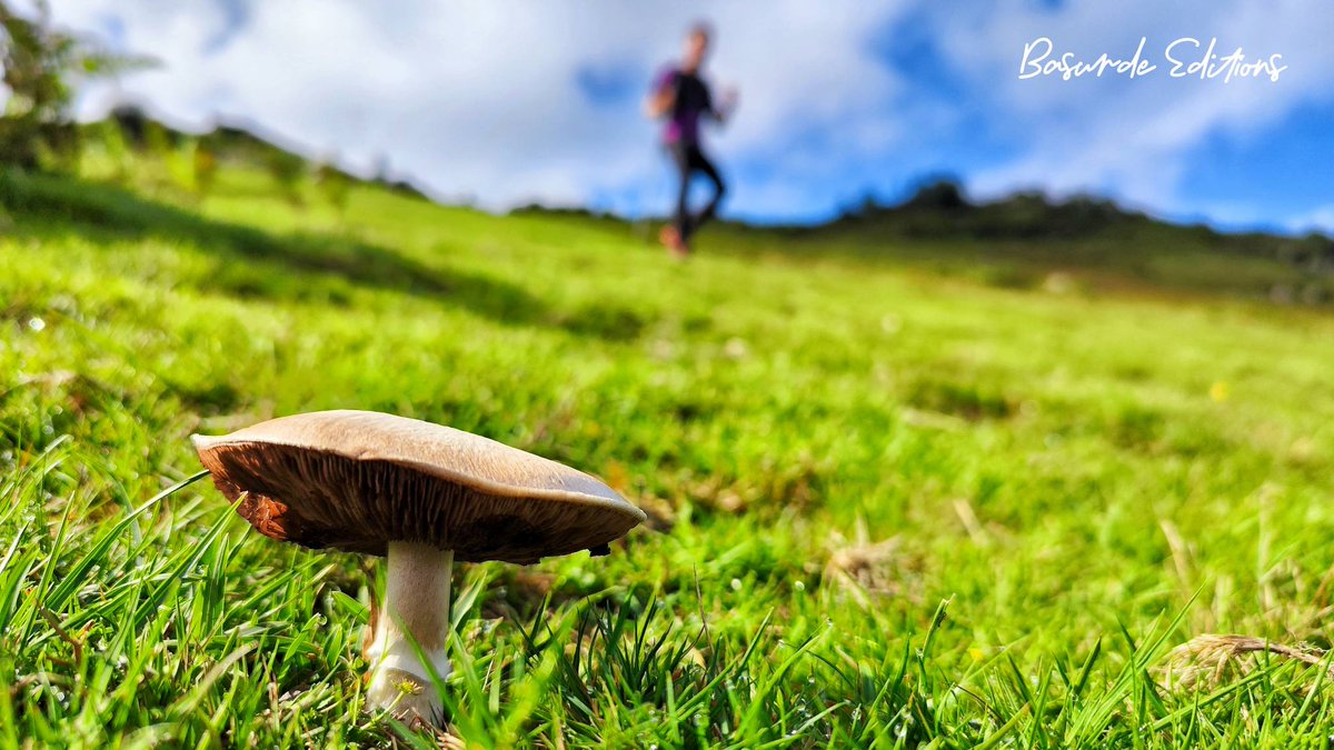 BasurdeEditions's tweet photo. El trail es mucho más que correr por el monte: es compañerismo, es respeto y es medio ambiente
----
#basurde #BeAdventurer
----
#trailrun #ultratrail #ultrarunning #running #trailrunning #total_euskadi #euskogram #euskadi #naturelover #euskofotos #loves_euskadi #igerseuskadi https://t.co/RoBkqirHp0
