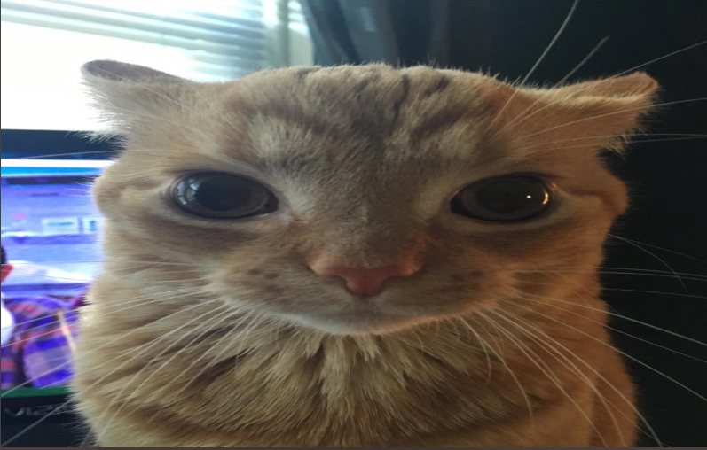 ۵ envien ccs !! tweet media