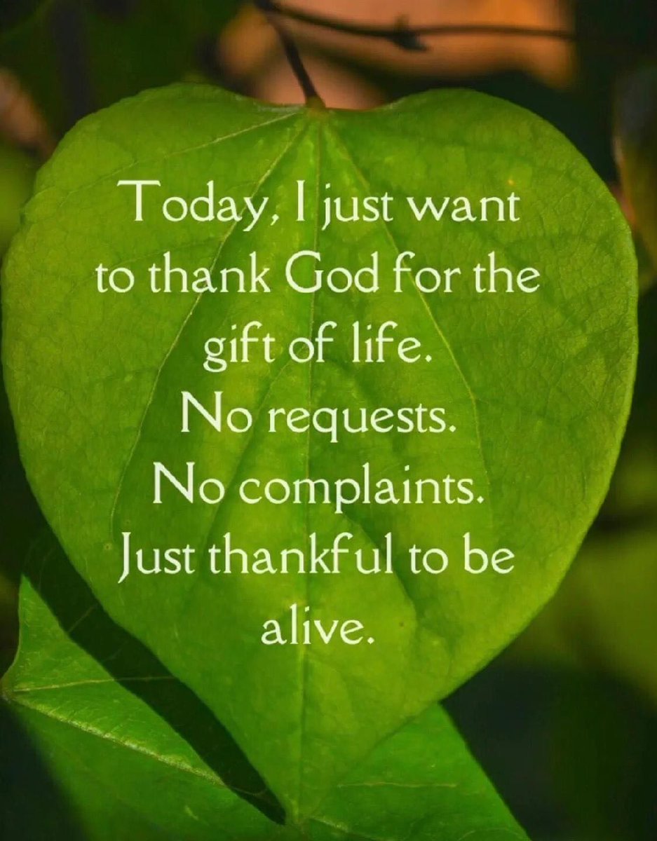 _CoachMichi's tweet photo. Gratitude. https://t.co/yTL5aUJqSy