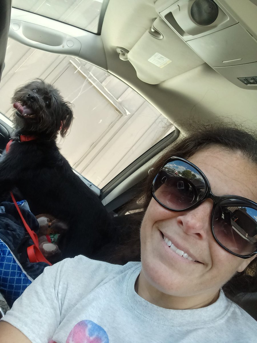 PoundHoundsResQ's tweet photo. Ok #MOREISMORE. More #freedompics!
Giuseppe was a stray that was brought to the NYCACC in the beginning of August. He was extremely fearful and avoidant. He was very uncomfortable and needed a savior. One came. One of our own volunteers saved this guy. https://t.co/cneC50kkhy