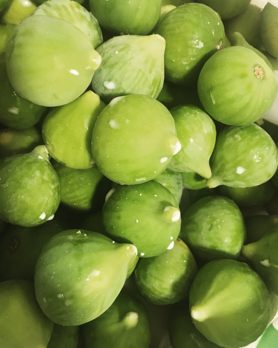 CocinaMP's tweet photo. Algunas higueras dan dos frutos, los higos y las brevas, la mía solo higos, vamos con la mermelada! https://t.co/fEn60yQj32