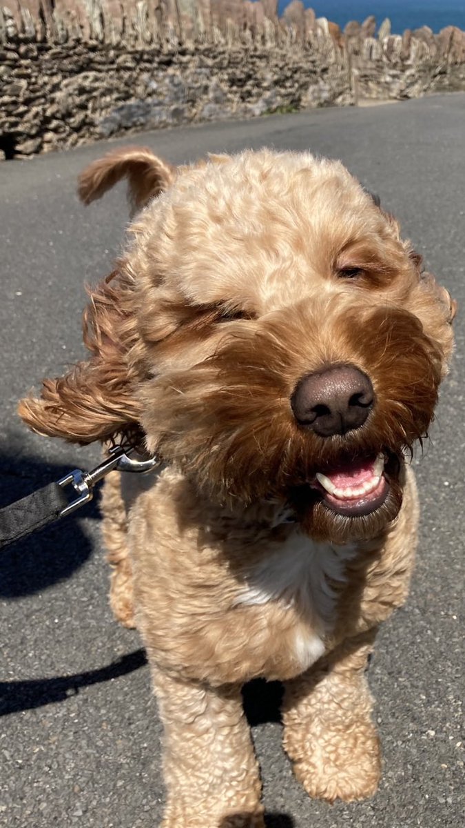 Steve Walters tweet media