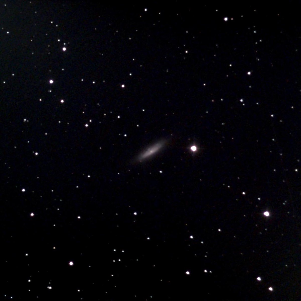 queerastrospace's tweet photo. NGC 6503
Magnitude 10.2 dwarf spiral galaxy located 13.05 million light-years away in the constellation Draco. It spans 30,000 light-years and is located at the edge of a region of space called the Local Void.
#astrophotography #astronomy #space #ngc6503 #galaxy #draco https://t.co/7tf5YZMEtX