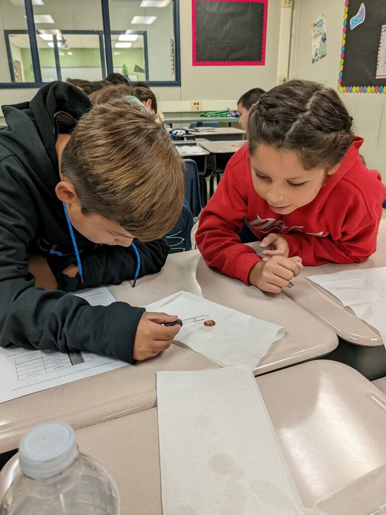 swisd_swe's tweet photo. Our 5th graders conducting experiments by seeing how many drops of water a penny can hold. #RootEdSWE https://t.co/G91SdgmWK9
