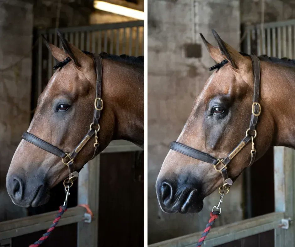 Smart Grooming tweet media