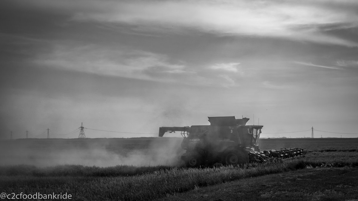 c2cfoodbankride's tweet photo. In the land of cereal grains...

#c2cfoodbankride #supportyourlocalfoodbank #supportcanadianagriculture #thisisour🇨🇦 https://t.co/1bSDFn67ml