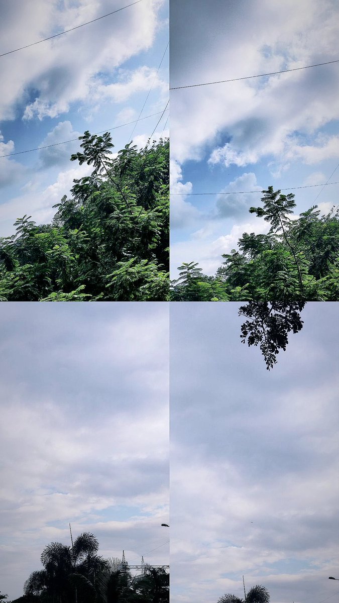 Samridhi agarwal tweet media