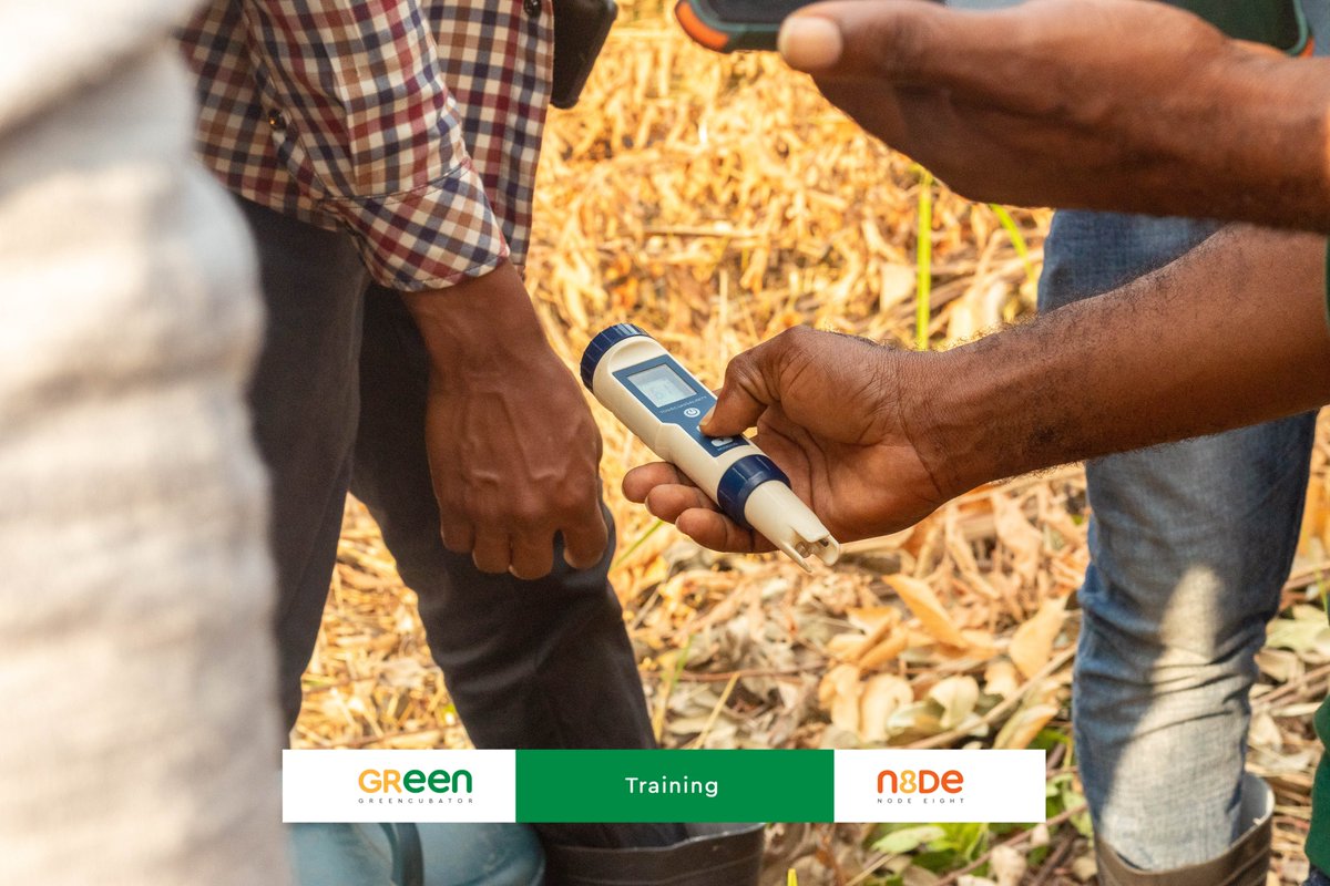 NodeEight's tweet image. 1/4
It&apos;s 3 weeks already… We are Getting Our Hands Dirty to put Food in Yours.
Here are the highlights of the first cohort of #Greencubator:

The first week was spent by the greencubatees clearing, plowing, testing the soil, &amp;amp; other farming-related tasks on their assigned