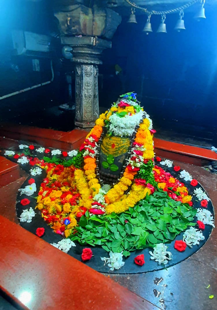 श्री नागेश्वर नागनाथ जी के संध्या/शयन आरती श्रृंगार दर्शन 27.08.2022