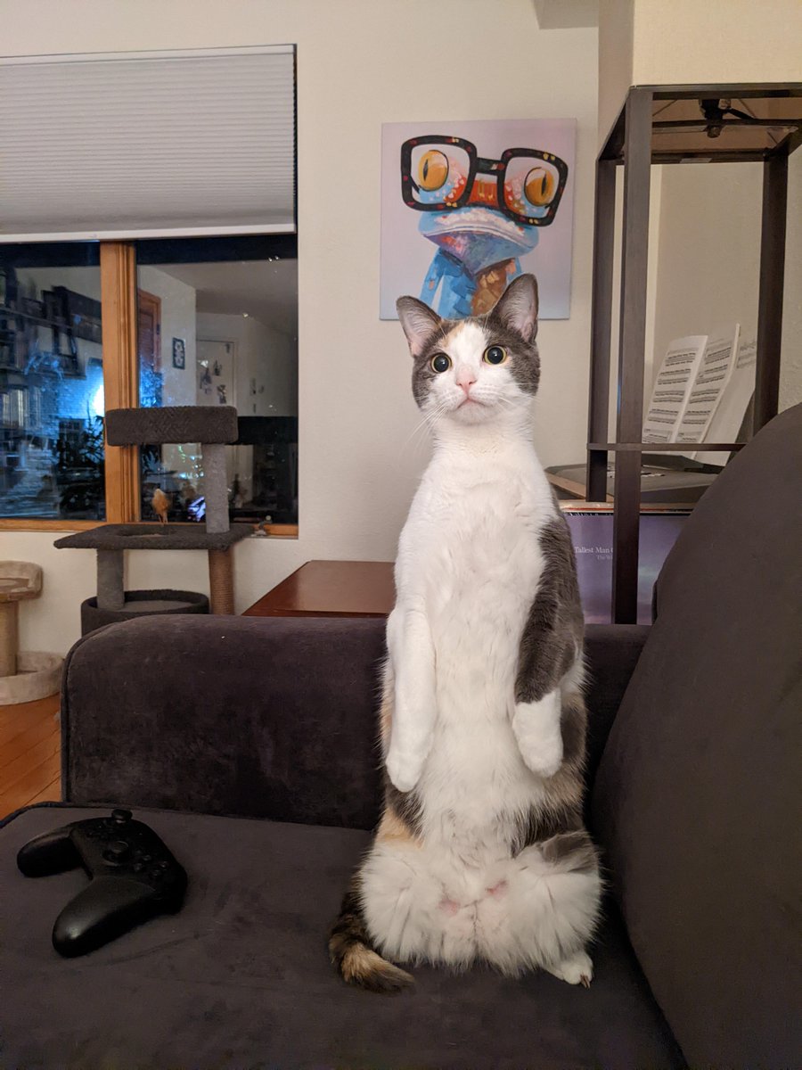 he wants to watch you game