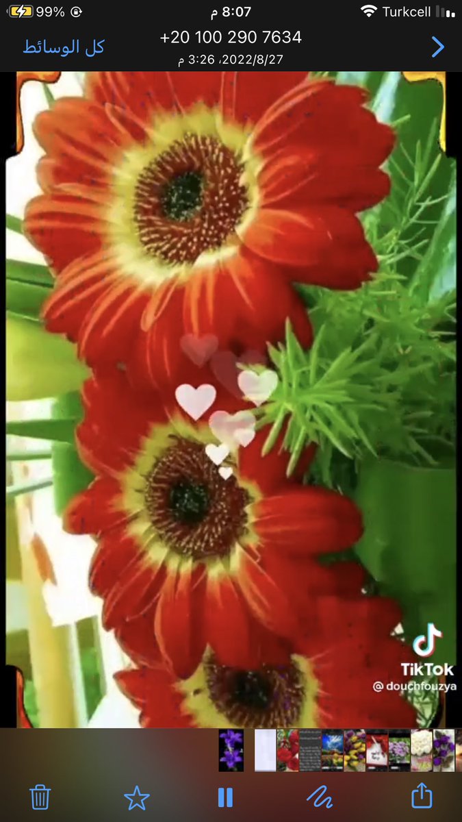 <a href="/_JMANO/">𝔍m🅰️n *رد المتابعة*</a> <a href="/mana50_0/">|manna🔥 بدايه 🔥</a> <a href="/Ebriz__/">Ebriz</a> <a href="/lolaloly0/">لولا❤🍒</a> <a href="/fairo_oza/">فہيٰرٍوزْهـهـ</a> @BnHedara1 @farzaladine تمت افراحك والباك في ايديك