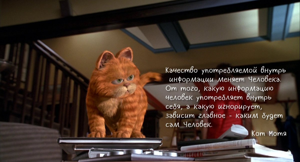 Катовыя правилы № 14