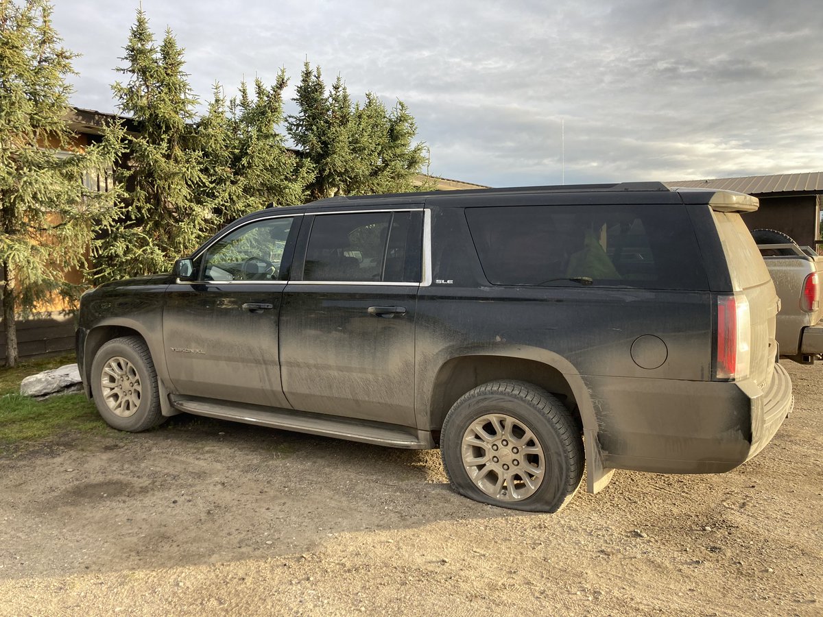 Palaeothaw tweet media