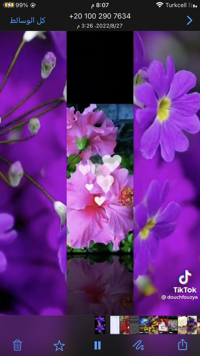 @zezoo818538222 <a href="/Ebriz__/">Ebriz</a> <a href="/lolaloly0/">لولا❤🍒</a> <a href="/fairo_oza/">فہيٰرٍوزْهـهـ</a> @BnHedara1 @farzaladine تمت افراحك باك مضمون وانا مسؤل ان لم يصلك اطلبه مني