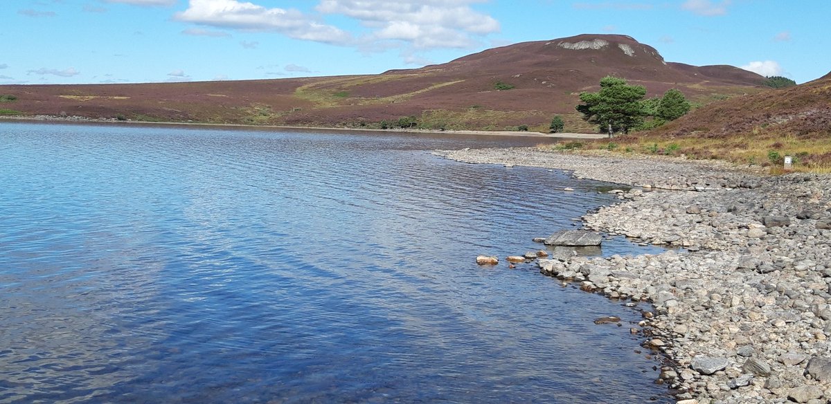 Martyn Willows tweet media