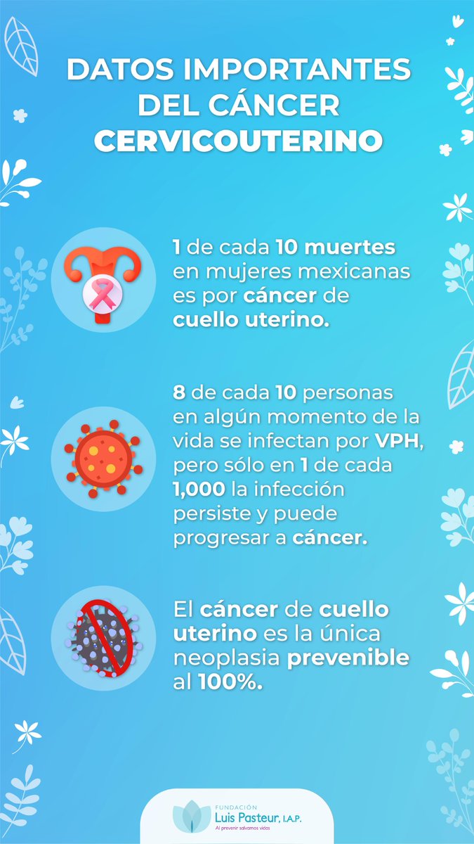 El mayor factor de riesgo del cáncer cervicouterino es tener uno de los tipos de VPH de alto riesgo. Puedes detectarlo con estudios como el papanicolaou. ¡La detección oportuna puede salvar tu vida! Agenda tu cita aquí --> fundacionpasteur.org/shop/servicios…
#DeMUJERESParaMUJERES #Unidas...