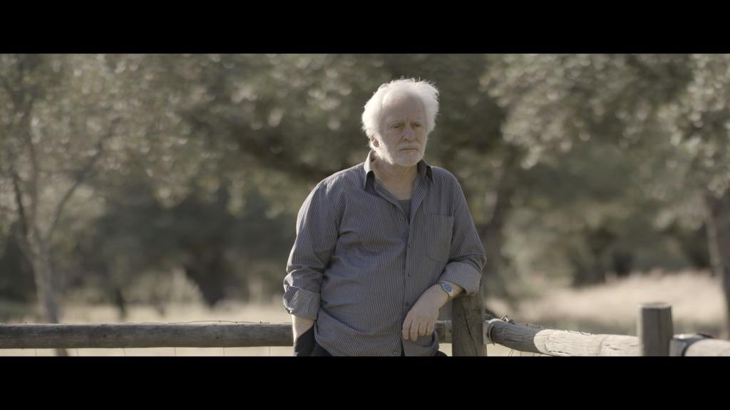Impres_TVE's tweet photo. Esta noche a las 21:00h recordamos a Manolo Sanlucar en @la2_tve. Emitimos su #Imprescindibles: “El legado”, de Juanma Suárez y @Enrique73400853. https://t.co/EnJtJI4TL6