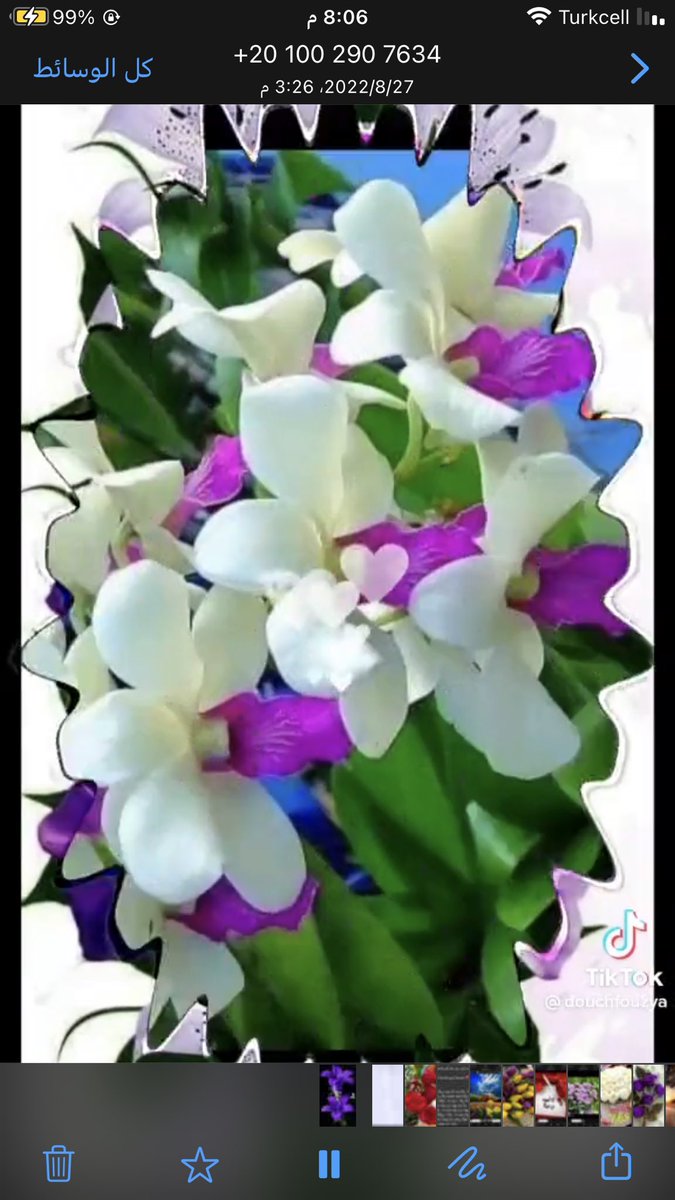 <a href="/fairo_oza/">فہيٰرٍوزْهـهـ</a> <a href="/Ebriz__/">Ebriz</a> <a href="/lolaloly0/">لولا❤🍒</a> @BnHedara1 @farzaladine وانت تستاهلين اكثر واكثر