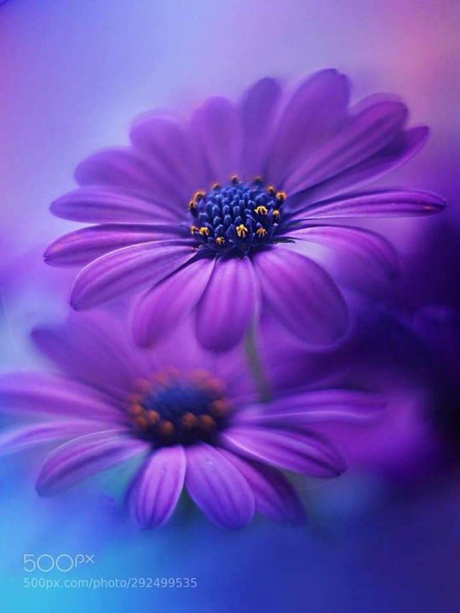 <a href="/lolaloly0/">لولا❤🍒</a> <a href="/Ebriz__/">Ebriz</a> <a href="/fairo_oza/">فہيٰرٍوزْهـهـ</a> @BnHedara1 @farzaladine حسابك جميل يستاهل الدعم والمتابعه