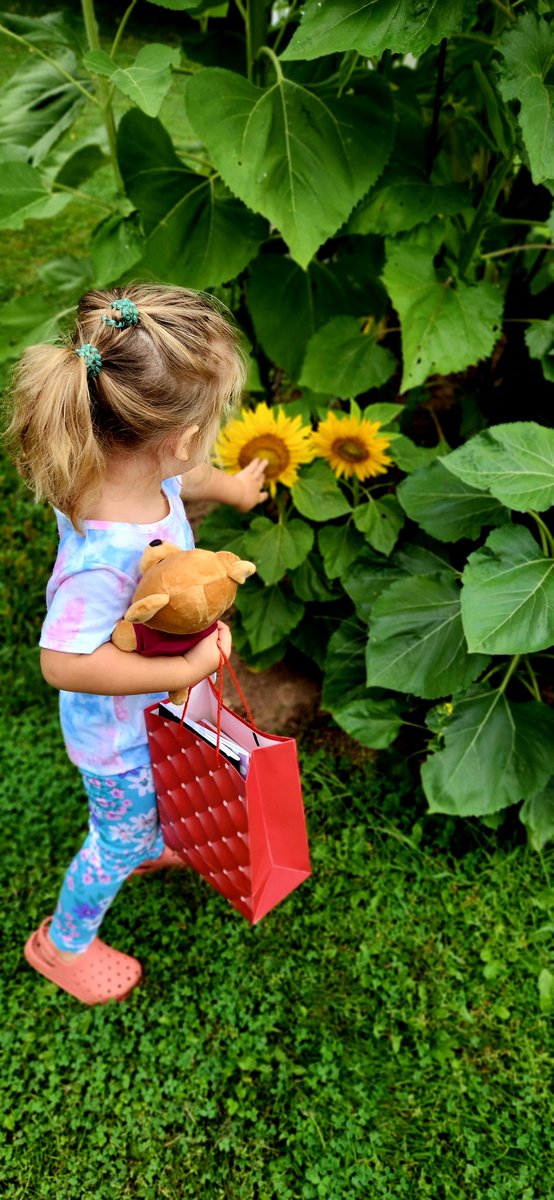 musgrave_patty's tweet photo. My littlest love was visiting today! #OnMyWayToMountA she got some sage and picked a carrot from the garden and we got eaten by 'squitos at the grounds! @MountAllison #FutureAlumni https://t.co/RJ5bFAyIcC