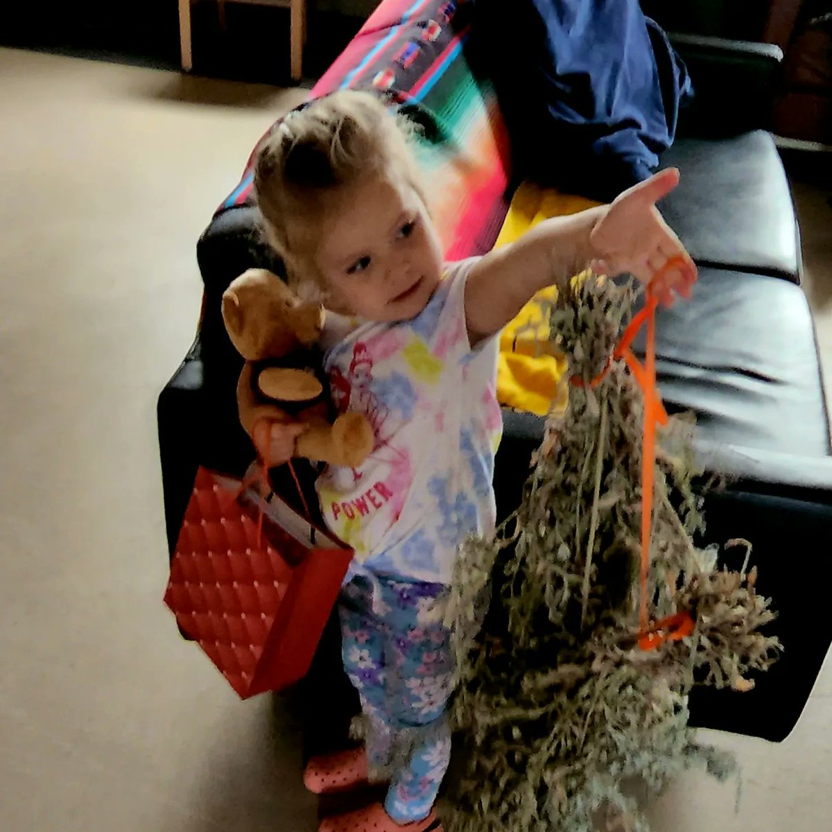 musgrave_patty's tweet photo. My littlest love was visiting today! #OnMyWayToMountA she got some sage and picked a carrot from the garden and we got eaten by 'squitos at the grounds! @MountAllison #FutureAlumni https://t.co/RJ5bFAyIcC