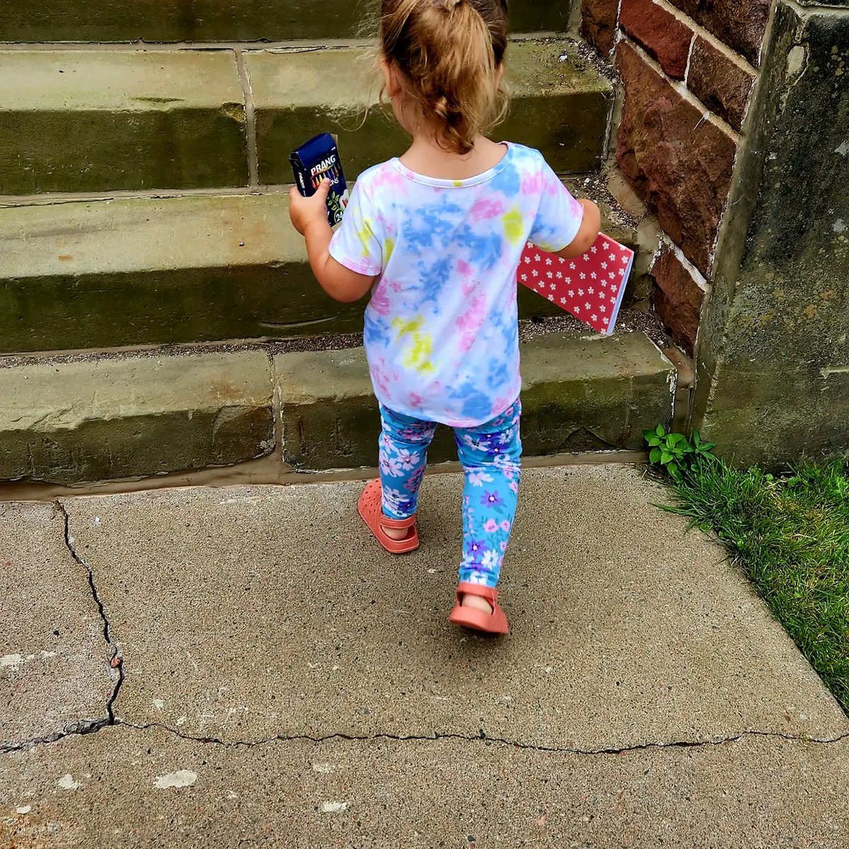 musgrave_patty's tweet photo. My littlest love was visiting today! #OnMyWayToMountA she got some sage and picked a carrot from the garden and we got eaten by 'squitos at the grounds! @MountAllison #FutureAlumni https://t.co/RJ5bFAyIcC