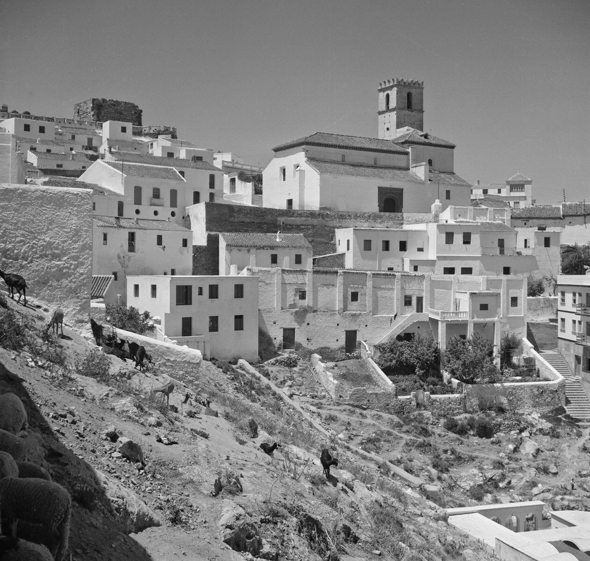 granadaoldpics1's tweet photo. Nuestro turista alemán del tweet de Almuñécar del otro día también se dejó caer por #Salobreña inmortalizando estas bellas escenas previas al “Boom” turístico. Llama la atención las vistas desde la Fortaleza Nazarí con la vega y el mar impolutos. @aytosalobrena https://t.co/zpbwqOsjeI