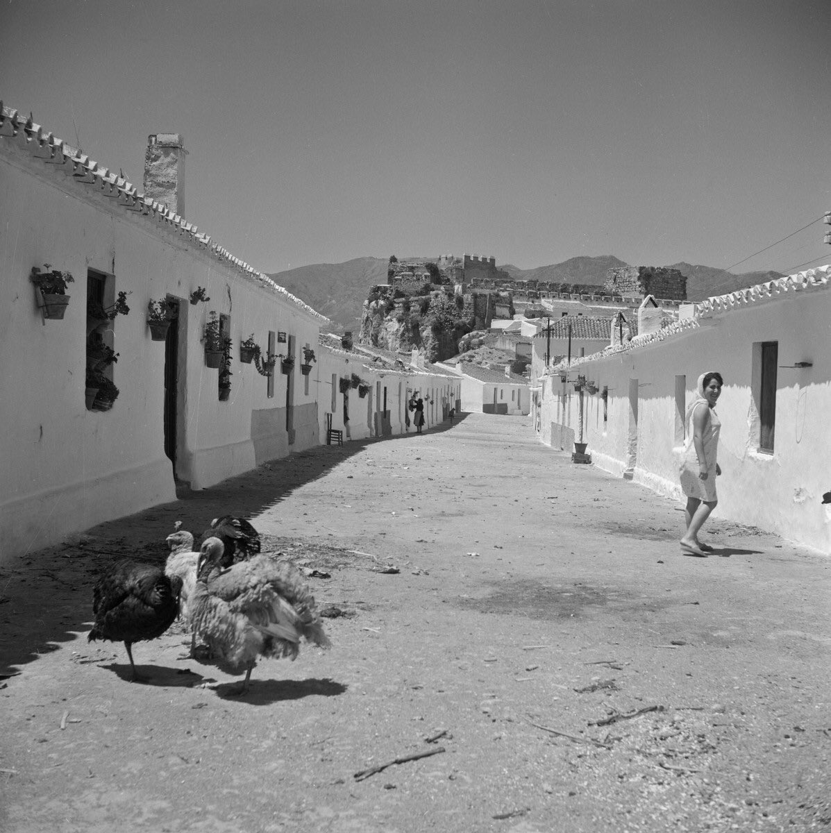 granadaoldpics1's tweet photo. Nuestro turista alemán del tweet de Almuñécar del otro día también se dejó caer por #Salobreña inmortalizando estas bellas escenas previas al “Boom” turístico. Llama la atención las vistas desde la Fortaleza Nazarí con la vega y el mar impolutos. @aytosalobrena https://t.co/zpbwqOsjeI