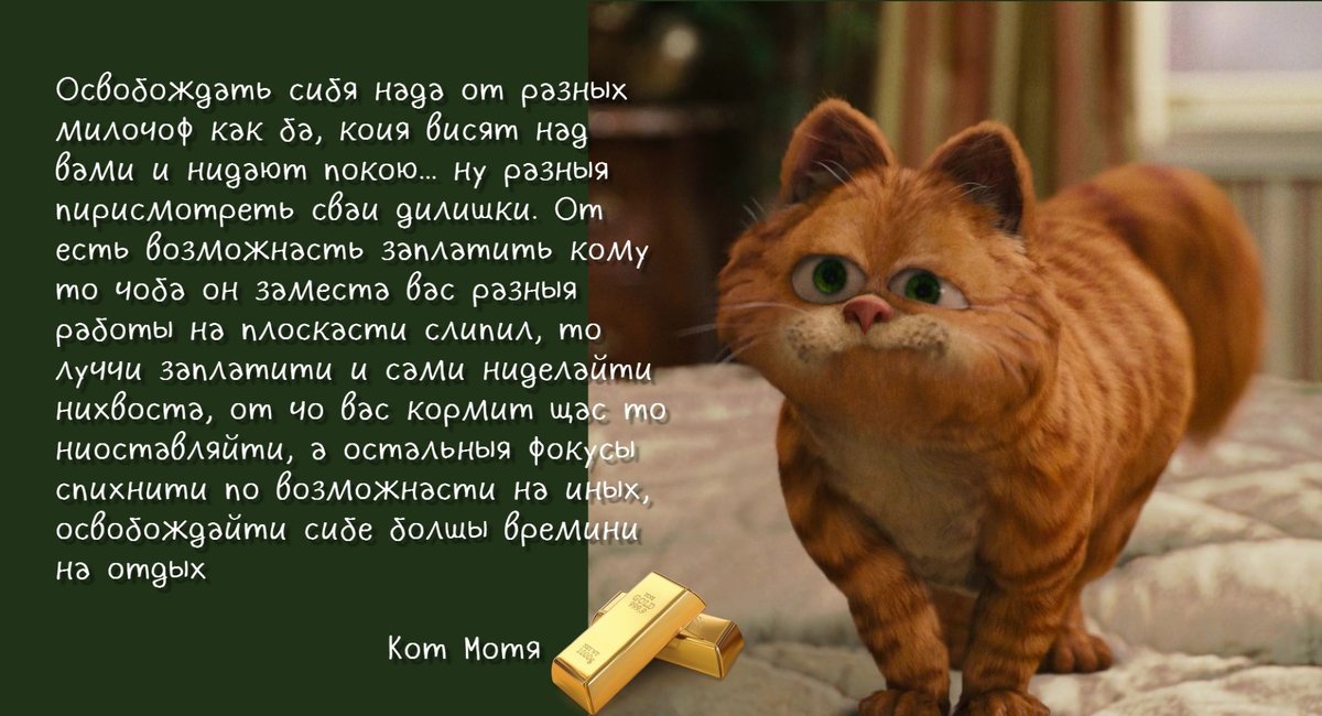 Катовыя правилы № 22