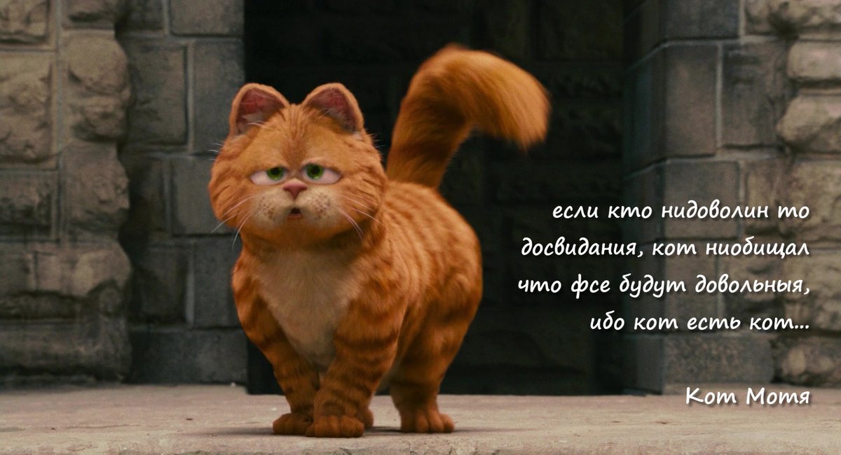 Котька (@lymohrrjfelkbr) on Twitter photo 