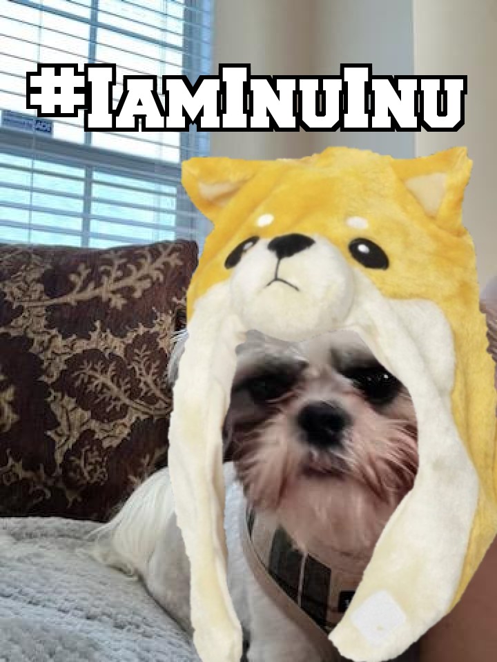InuInuCommunity tweet picture