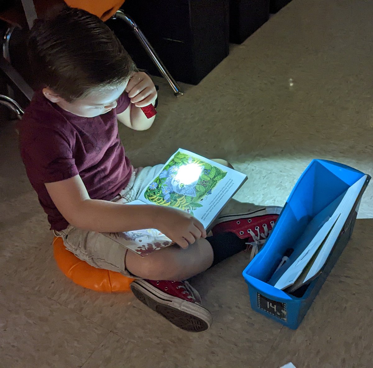 ♡ AnaLisa Rodriguez tweet media