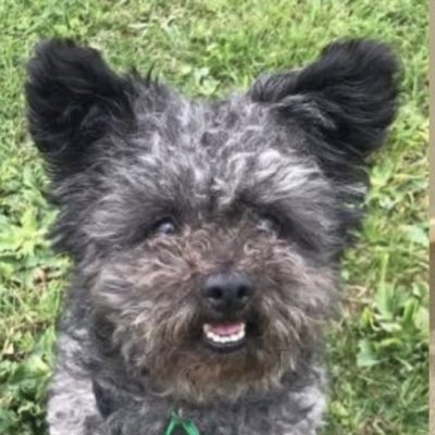 #NewProfilePic c/o <a href="/a1vicster/">VictoriaCC</a>