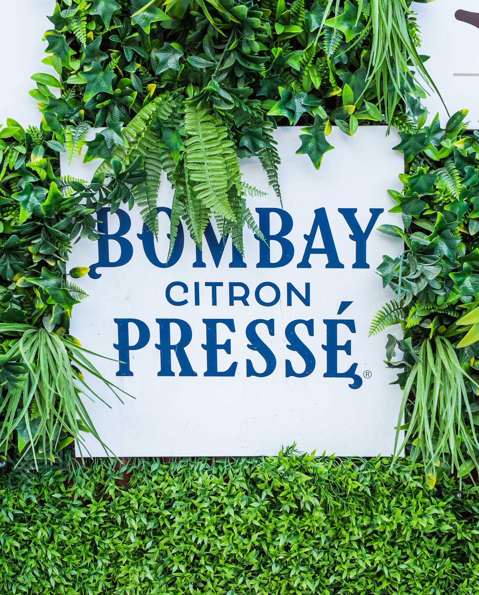 StarliteFest's tweet image. 🍋 Déjate sorprender por Bombay Citron Pressé, ginebra oficial de #StarliteCatalanaOccidente2022, y disfruta de un cóctel Ultimate Tom Collins, un Gin&amp;amp;Tonic… ¡ligeros y refrescantes por igual!

🙌🏻 Ven al festival y juzga por ti mism@. 

#BombayCitronPresse #BombaySapphire