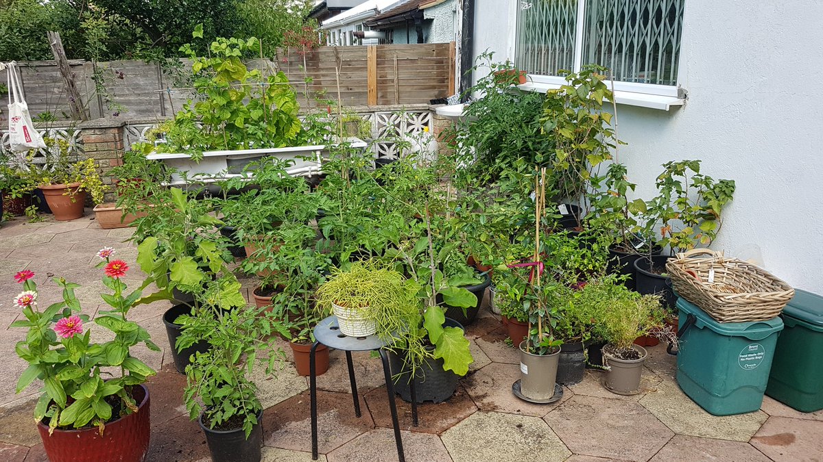 JeSuisCharlie9's tweet photo. @DavidHenigUK Is that your patio? Love it...
Share with you mine...
. https://t.co/EYt5PsiGxa